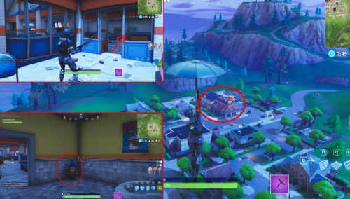 Расположение спрятанных гномов в Fortnite Battle Royale