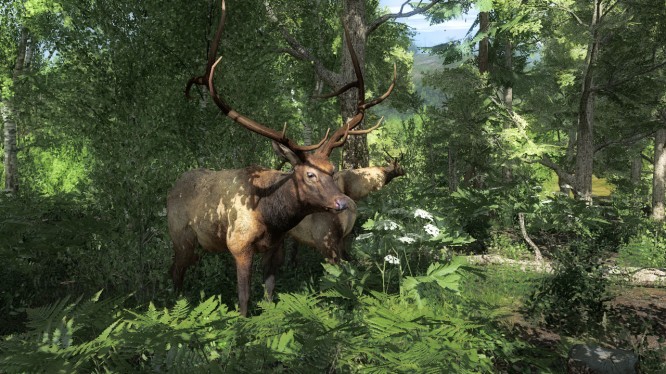 theHunter Classic