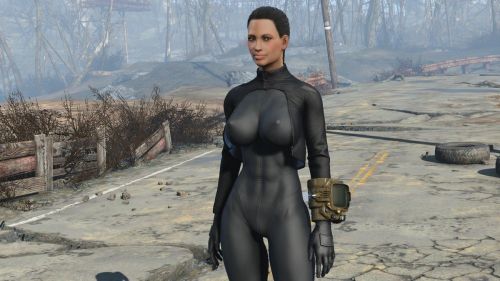 Новое расширение для Fallout 4 называется Nuka World