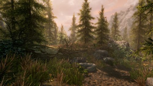 Bethesda анонсировала переиздание The Elder Scrolls V: Skyrim