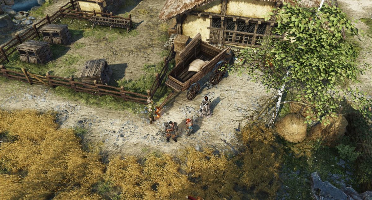 В Divinity: Original Sin 2 будет добавлена пятая раса