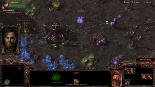 Предзаказчики StarCraft 2: Heart of the Swarm смогут поучаствовать в бета-тесте