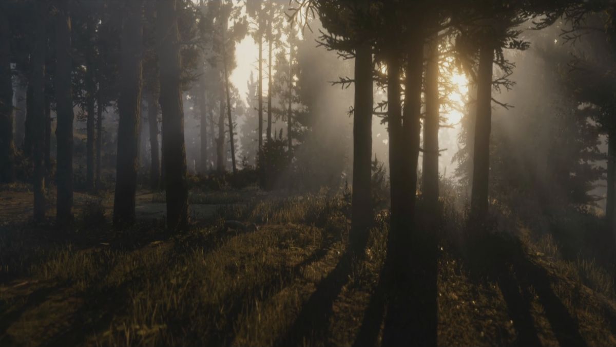 Red Dead Redemption 2 получит многопользовательский режим