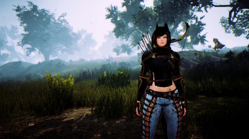 Нижнее белье black desert где купить