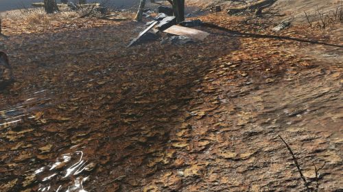 Для Fallout 4 вышел мод, улучшающий текстуры и снижающий нагрузку на PC