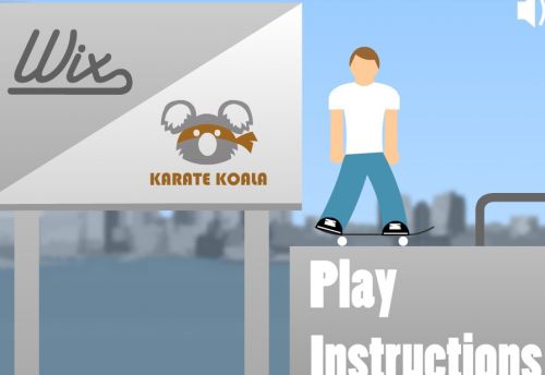Скейтер