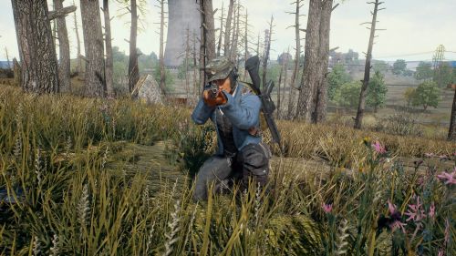 Установка ловушек в Playerunknown's Battlegrounds: советы и уловки