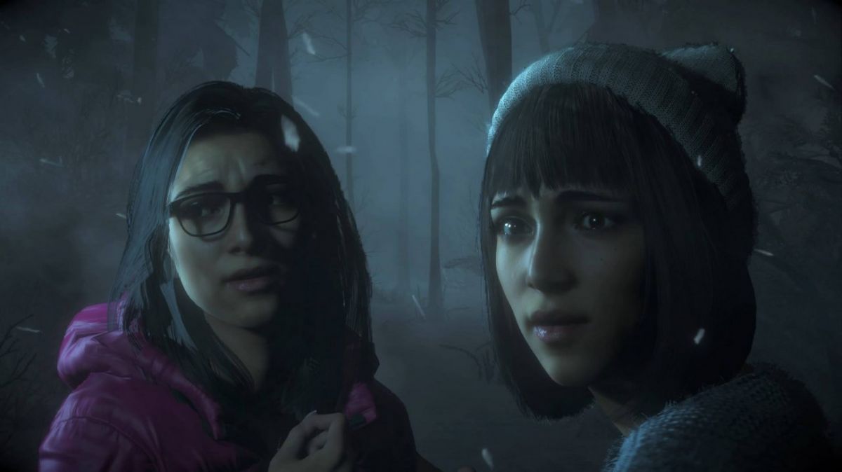 Улики по делу близнецов в Until Dawn – где найти