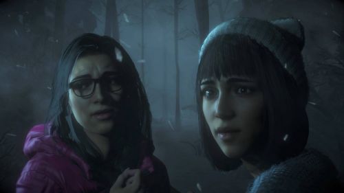 Улики по делу близнецов в Until Dawn – где найти