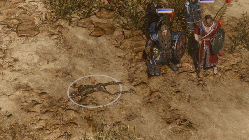 Камни неугасимого огня spellforce где найти