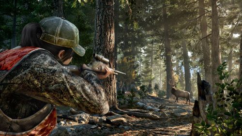 Показана полуторачасовая геймплейная демонстрация Far Cry 5