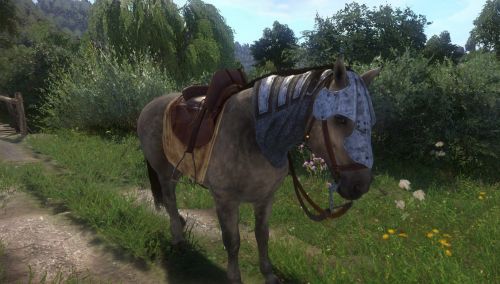Как получить снаряжение и броню для лошади в Kingdom Come: Deliverance