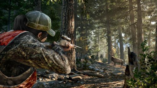 Как быстро заработать деньги в Far Cry 5