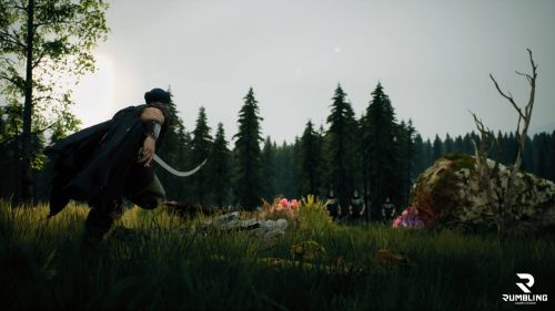 Состоялся анонс средневековой RPG Knights of Light, вдохновленной серией The Witcher