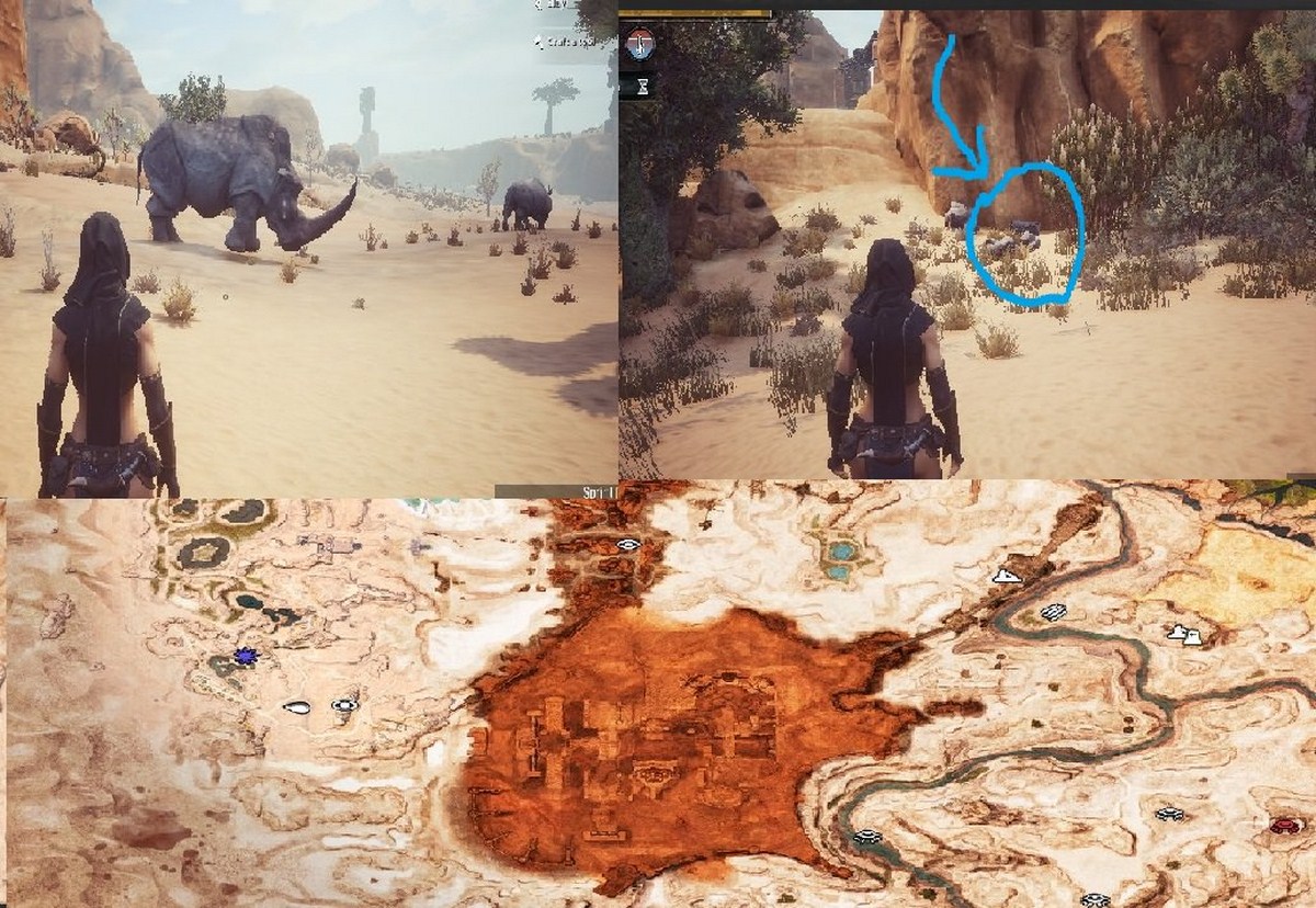 Конан кони. Conan Exiles слон босс сундук. Conan Exiles боссы на карте. Conan Exiles носорог карта.