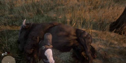 Red dead redemption 2 что делать с тушами легендарных животных. 1541002773 30. Red dead redemption 2 что делать с тушами легендарных животных фото. Red dead redemption 2 что делать с тушами легендарных животных-1541002773 30. картинка Red dead redemption 2 что делать с тушами легендарных животных. картинка 1541002773 30