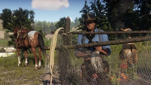 Где найти экзотические предметы в Red Dead Redemption 2