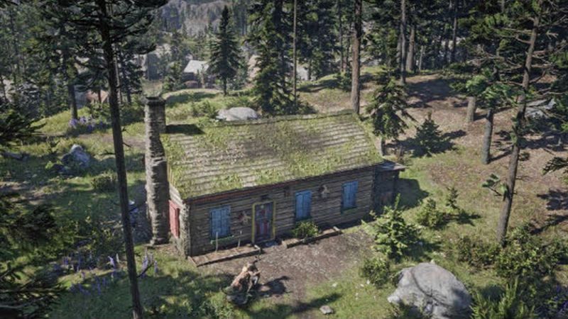 Rdr 2 временный лагерь форт риггс что это