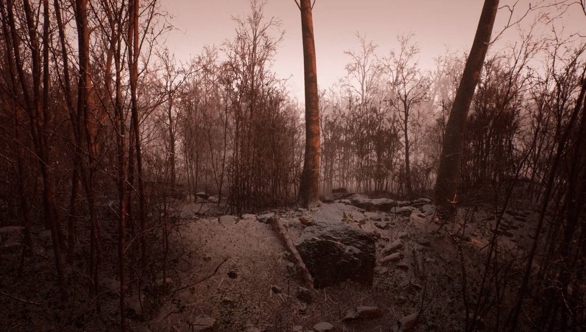 Названа дата начала предзагрузки приложения для PS5 с трейлером Abandoned