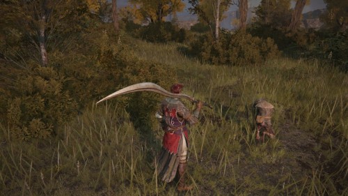 Квест Бока в Elden Ring: где найти швейную иглу и говорящую голову