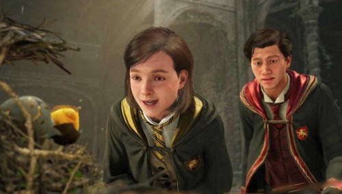 Гайд по Hogwarts Legacy: советы для новичков