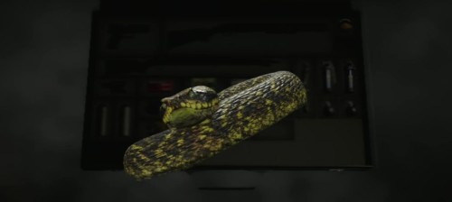 Охота на гадюк в Resident Evil 4: где найти змей