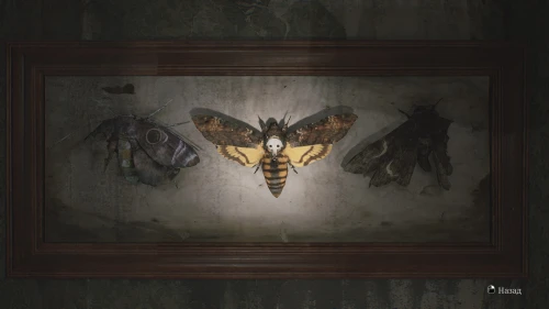 Puzzle de papillon de nuit dans Silent Hill 2 Remake : comment ouvrir la serrure de la salle 202