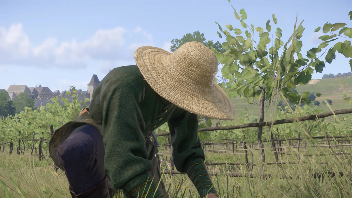 Под соломенной шляпой в Kingdom Come Deliverance 2: как устроиться на монастырский виноградник