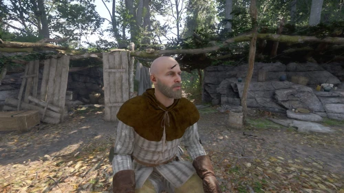 Стрела в голове в Kingdom Come Deliverance 2: как найти Карела и помочь ему отнести мешки
