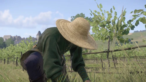 Под соломенной шляпой в Kingdom Come Deliverance 2: как устроиться на монастырский виноградник