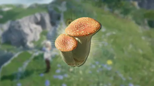 Розовый гриб в Arknights Endfield: как найти, купить и вырастить