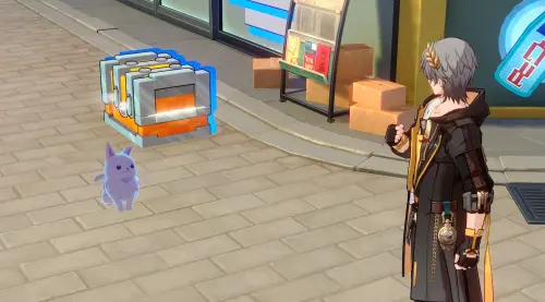 Букет блаженным в Honkai Star Rail: как ввести корректные данные