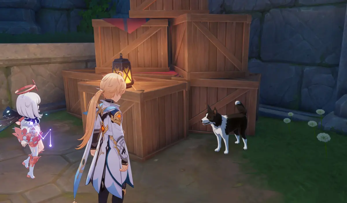 Патриция в Genshin Impact: где найти Рыбку