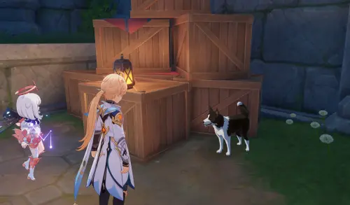 Патриция в Genshin Impact: где найти Рыбку